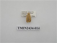 藏品(雙線苔蛾)的圖片